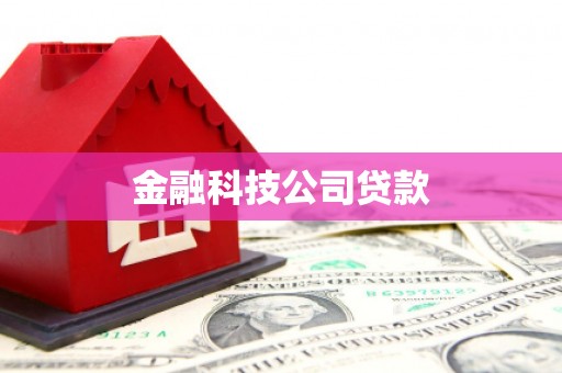 江孜金融科技公司贷款