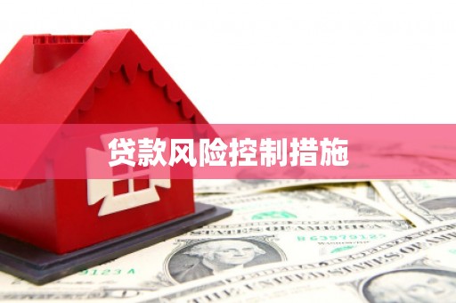 江孜贷款风险控制措施