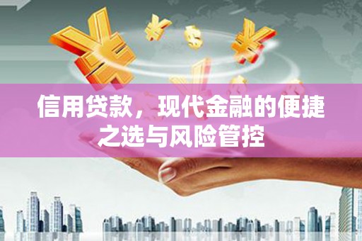 江孜信用贷款，现代金融的便捷之选与风险管控