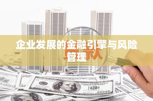 江孜企业发展的金融引擎与风险管理