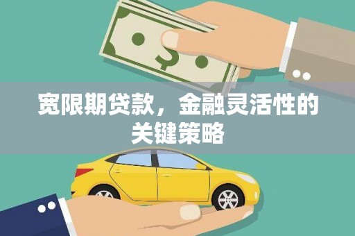 江孜宽限期贷款，金融灵活性的关键策略