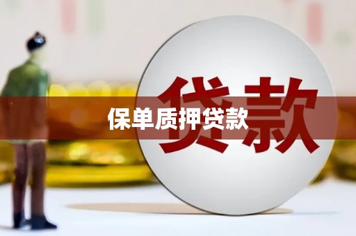 江孜保单质押贷款