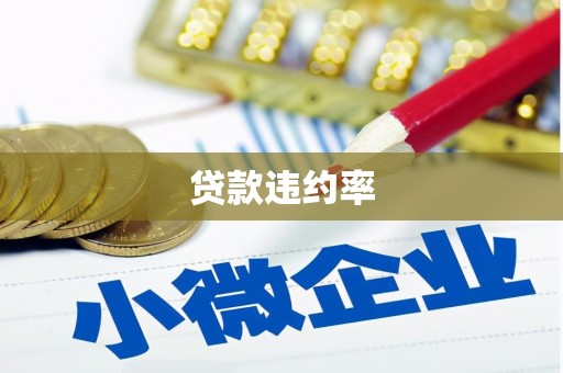 江孜贷款违约率