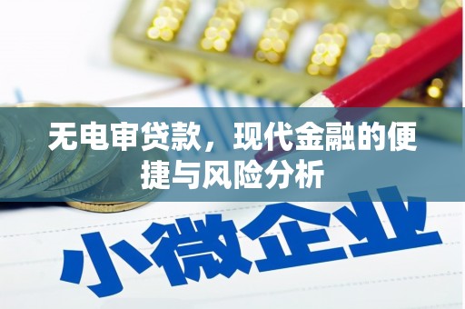 江孜无电审贷款，现代金融的便捷与风险分析