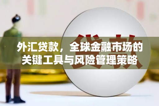 江孜外汇贷款，全球金融市场的关键工具与风险管理策略