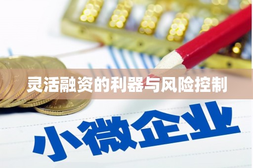 江孜灵活融资的利器与风险控制