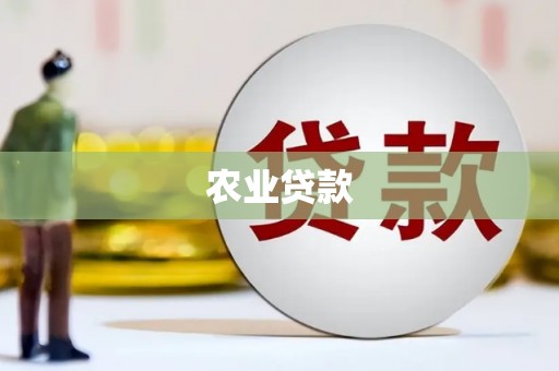 江孜农业贷款