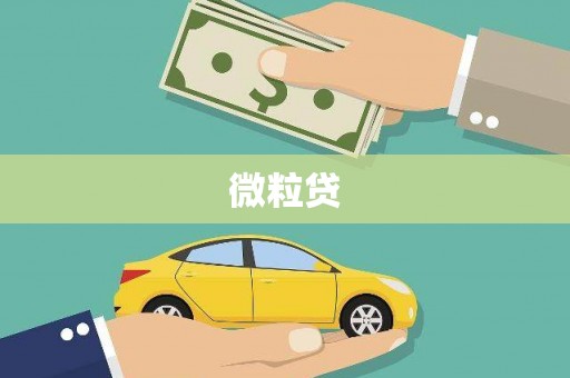 江孜微粒贷
