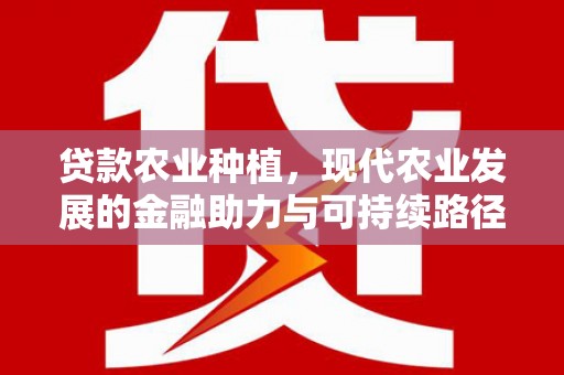 江孜贷款农业种植，现代农业发展的金融助力与可持续路径