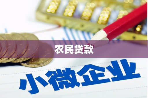 江孜农民贷款