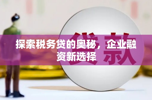 江孜探索税务贷的奥秘，企业融资新选择