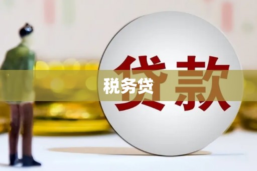 江孜税务贷