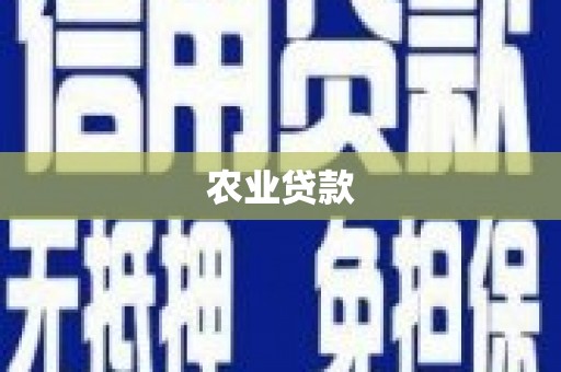 江孜农业贷款