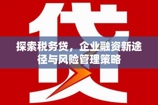 江孜探索税务贷，企业融资新途径与风险管理策略