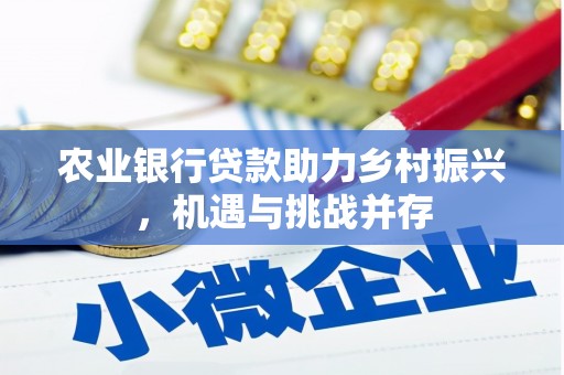 江孜农业银行贷款助力乡村振兴，机遇与挑战并存