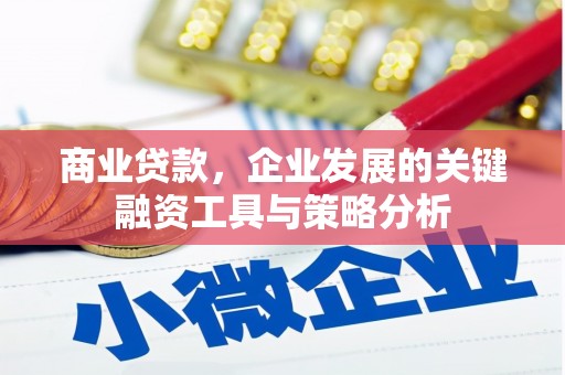 江孜商业贷款，企业发展的关键融资工具与策略分析