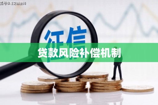 江孜贷款风险补偿机制