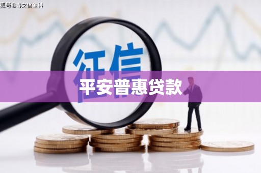 江孜平安普惠贷款