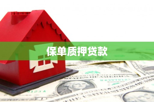 江孜保单质押贷款