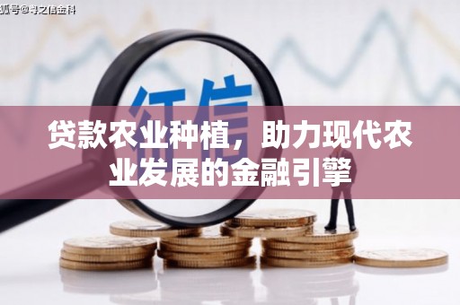 江孜贷款农业种植，助力现代农业发展的金融引擎