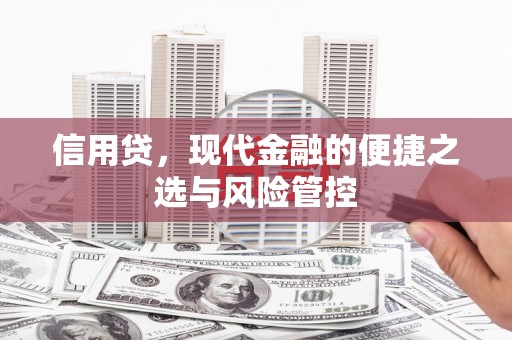江孜信用贷，现代金融的便捷之选与风险管控