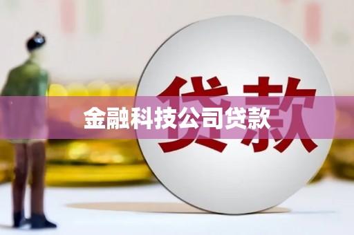 江孜金融科技公司贷款