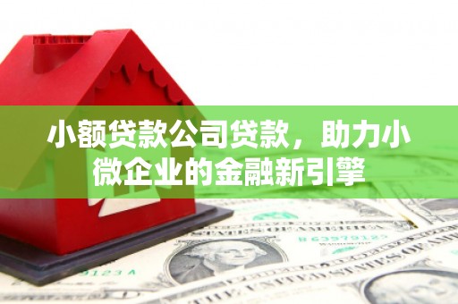 江孜小额贷款公司贷款，助力小微企业的金融新引擎