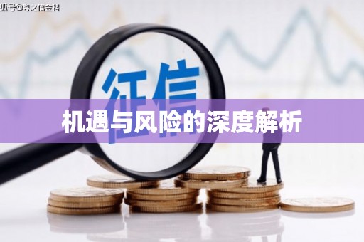 江孜机遇与风险的深度解析