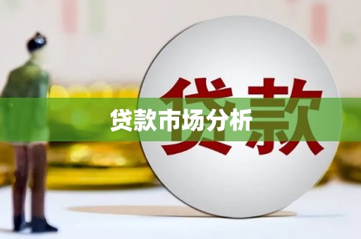 江孜贷款市场分析