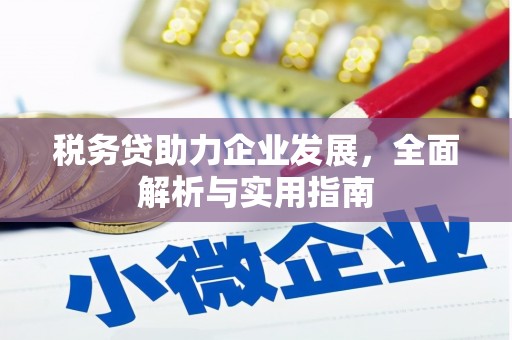 江孜税务贷助力企业发展，全面解析与实用指南