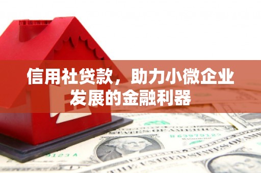 江孜信用社贷款，助力小微企业发展的金融利器