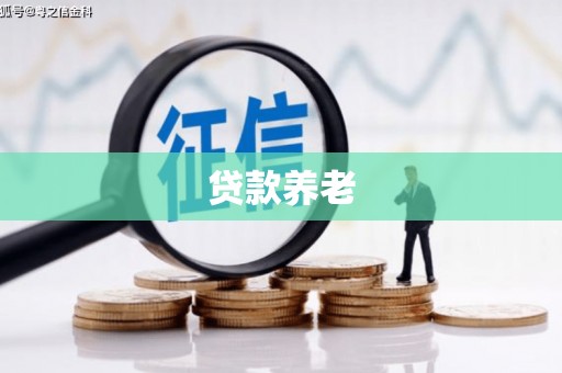 江孜贷款养老