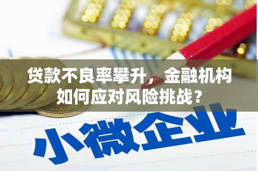 江孜贷款不良率攀升，金融机构如何应对风险挑战？