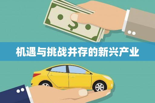 江孜机遇与挑战并存的新兴产业