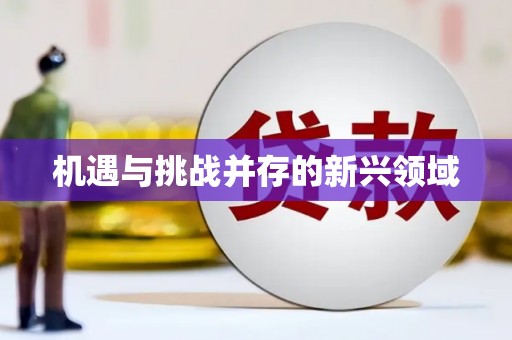 江孜机遇与挑战并存的新兴领域