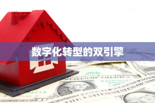 江孜数字化转型的双引擎