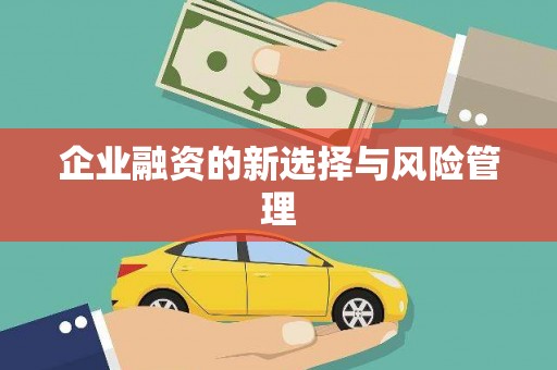 江孜企业融资的新选择与风险管理