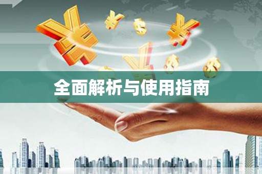 江孜全面解析与使用指南