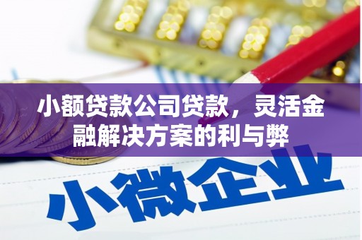 江孜小额贷款公司贷款，灵活金融解决方案的利与弊
