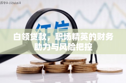 江孜白领贷款，职场精英的财务助力与风险把控